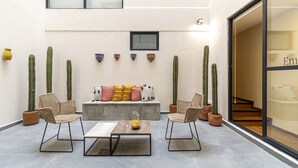Ein moderner Außenbereich mit einer Betonbank, zwei Korbstühlen und einem Couchtisch. An der Wand stehen mehrere Kübelkaktus und dekorative Schalen.