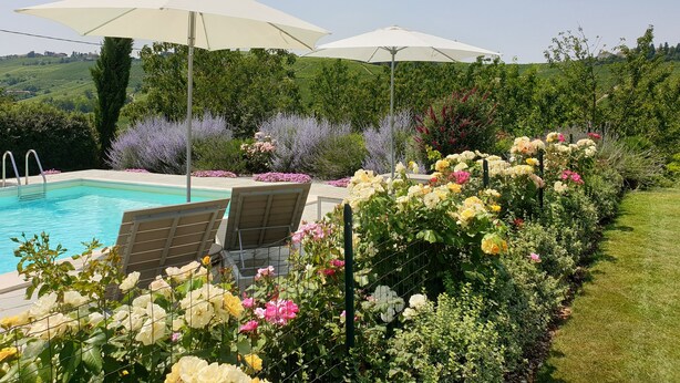 Piscina con sillones de descanso y sombrillas, rodeada de exuberantes jardines y vistas a colinas ondulantes.