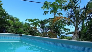 A clear blue pool surrounded by lush tropical foliage. - Romantic villa with whirlpool bath 5mns from the beach! (Saint-Leu)