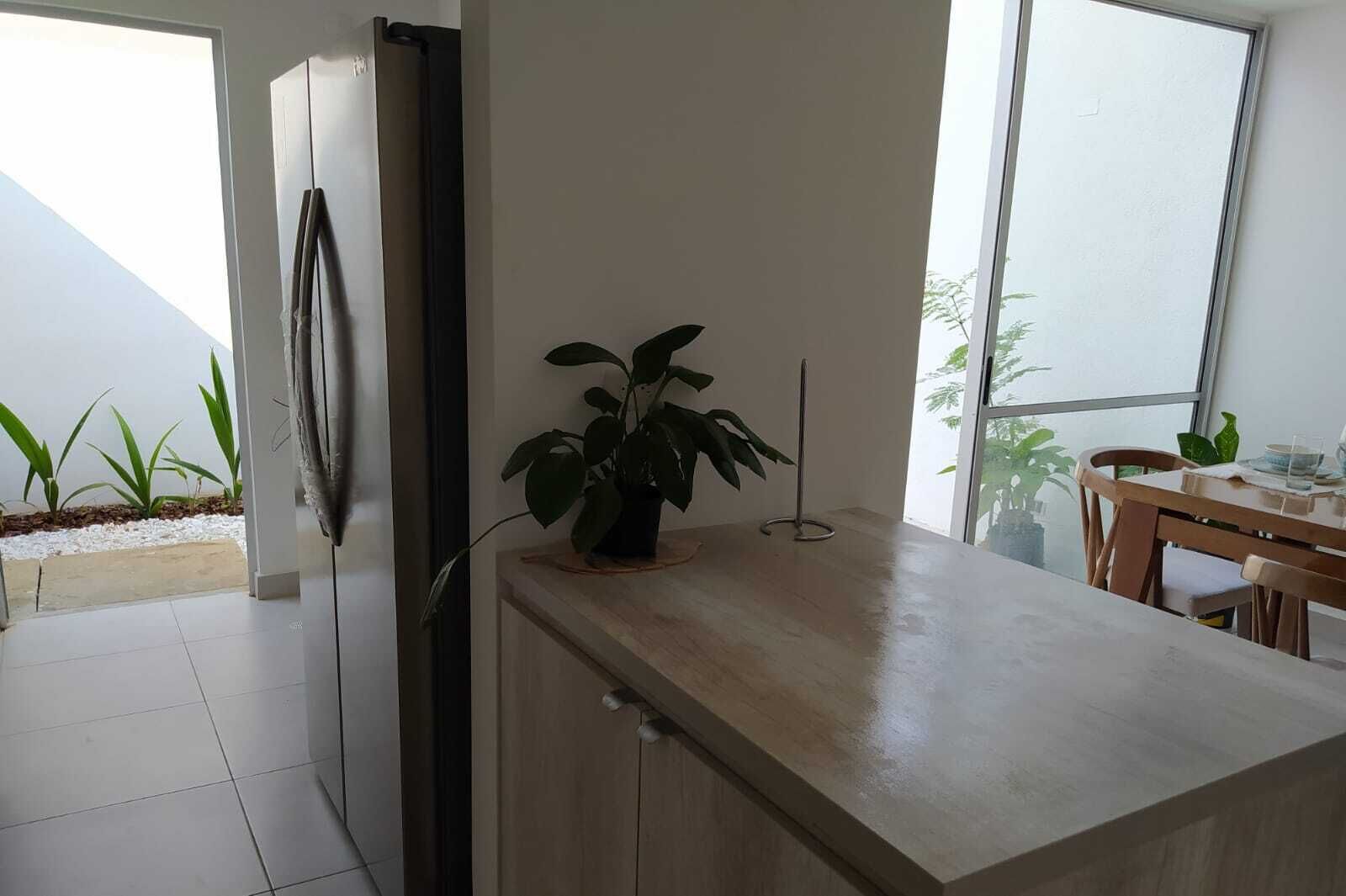 Full-size fridge, rice cooker, blender, griddle