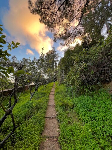 Guincho. Location, beach, forest, comfort, 360º views.