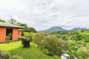 Una casa con techo verde, un pequeño jardín con flores moradas y una vista de la montaña al fondo.