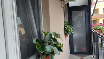 DĂ©tail de lâextĂ©rieur
