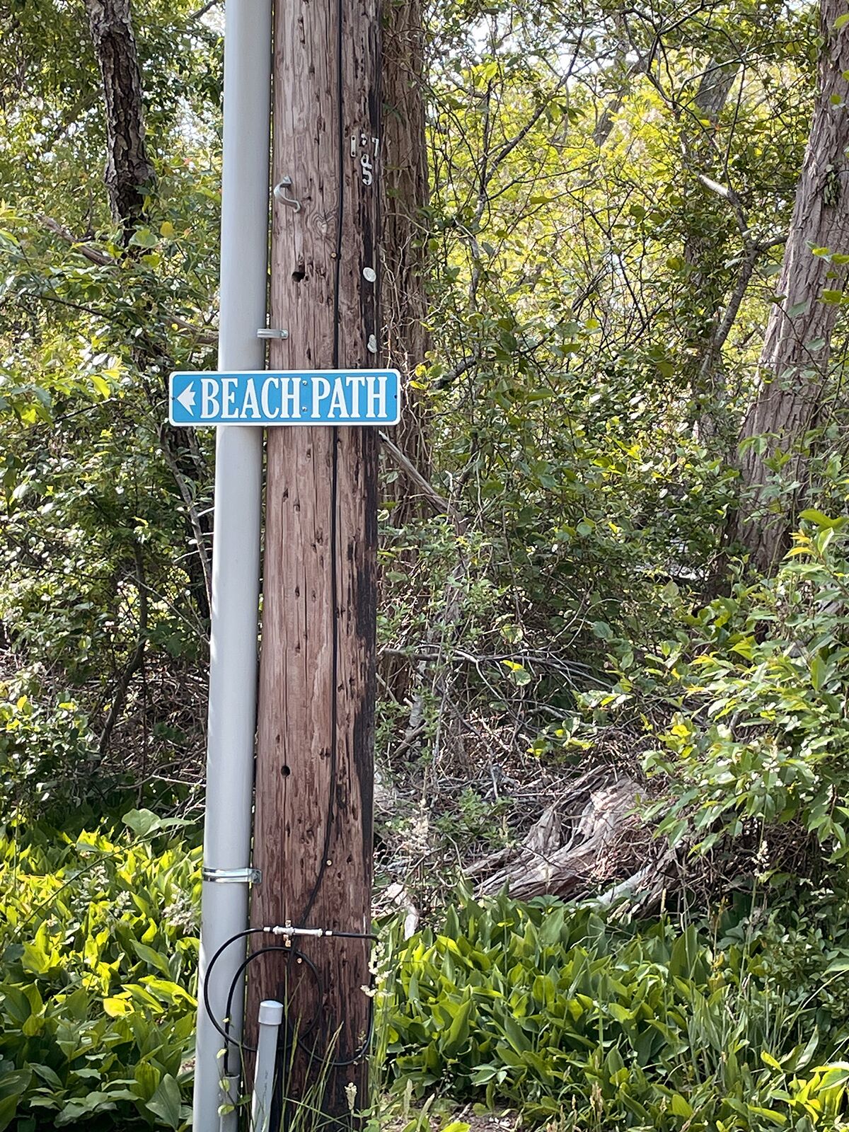 A wooden utility pole with a blue sign indicating a beach path.