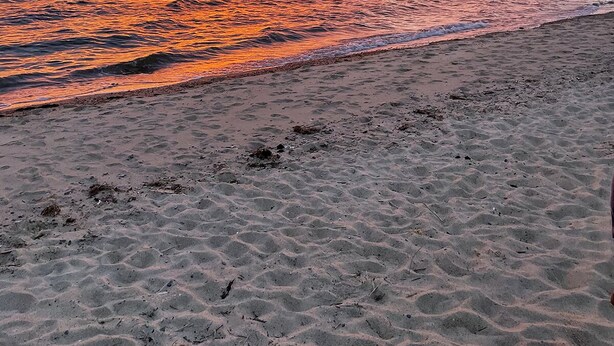 A beach with a sunset over the ocean. - Cozy Cape Cottage with Beach Access (Eastham)