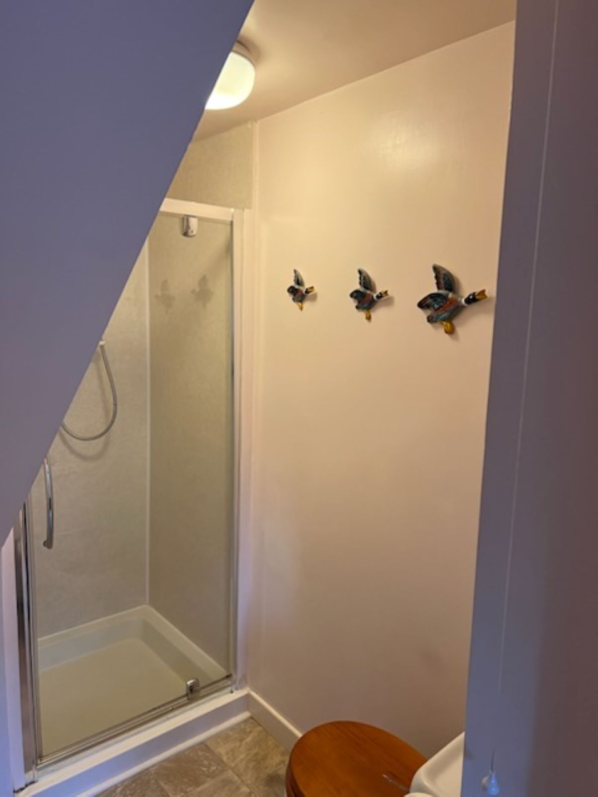 Suihku, hiustenkuivaaja, pyyhkeet, saippua