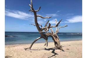 Aan het strand, ligstoelen aan het strand, strandlakens