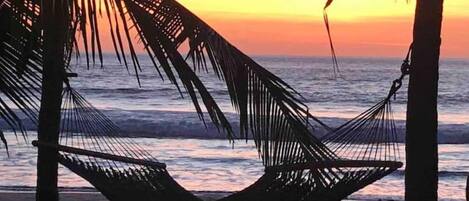 Un hamac tendu entre deux palmiers, offrant une vue sur l’océan au coucher du soleil.