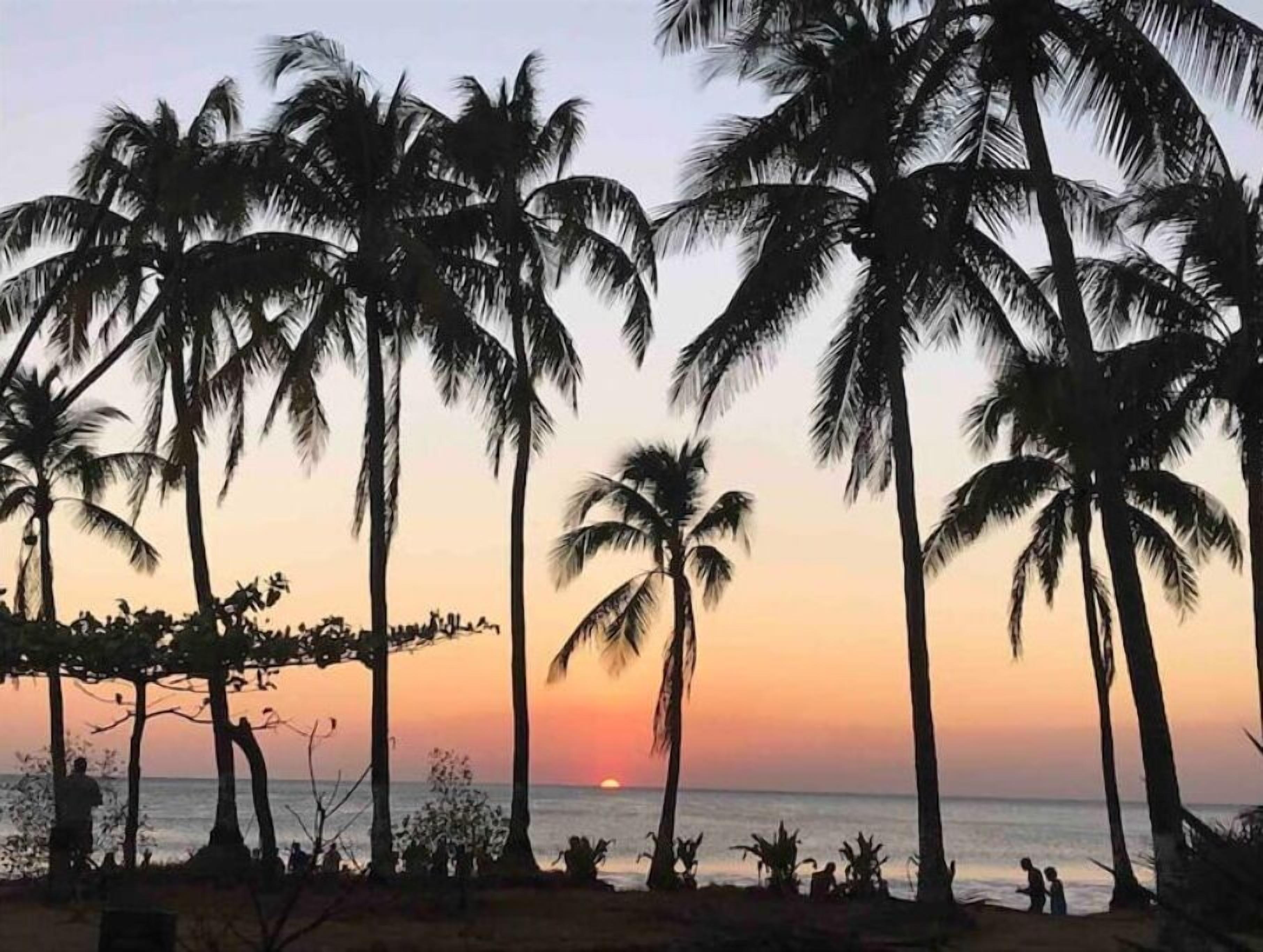 Plage, chaises longues, serviettes de plage