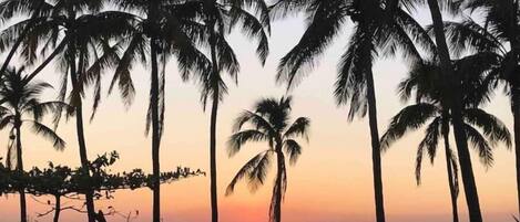 On the beach, sun-loungers, beach towels