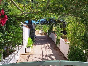 Un vialetto incorniciato da muri bianchi e vegetazione, che conduce all'ingresso di un edificio.
