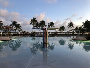 En swimmingpool omgiven av palmer och solstolar.