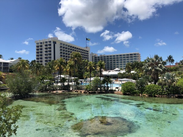 A hotel with a pool surrounded by palm trees and clear water.