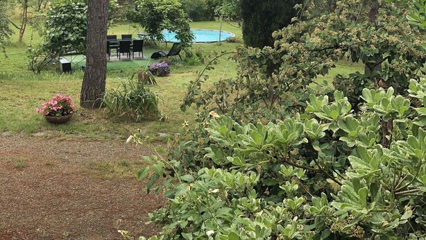 A garden with a pool, surrounded by trees and shrubs. - A cottage in the middle of the countryside just a stone's throw from the center of Florence<br> (Toscana)