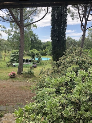Parco della struttura