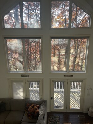 TV connectée, cheminée, livres