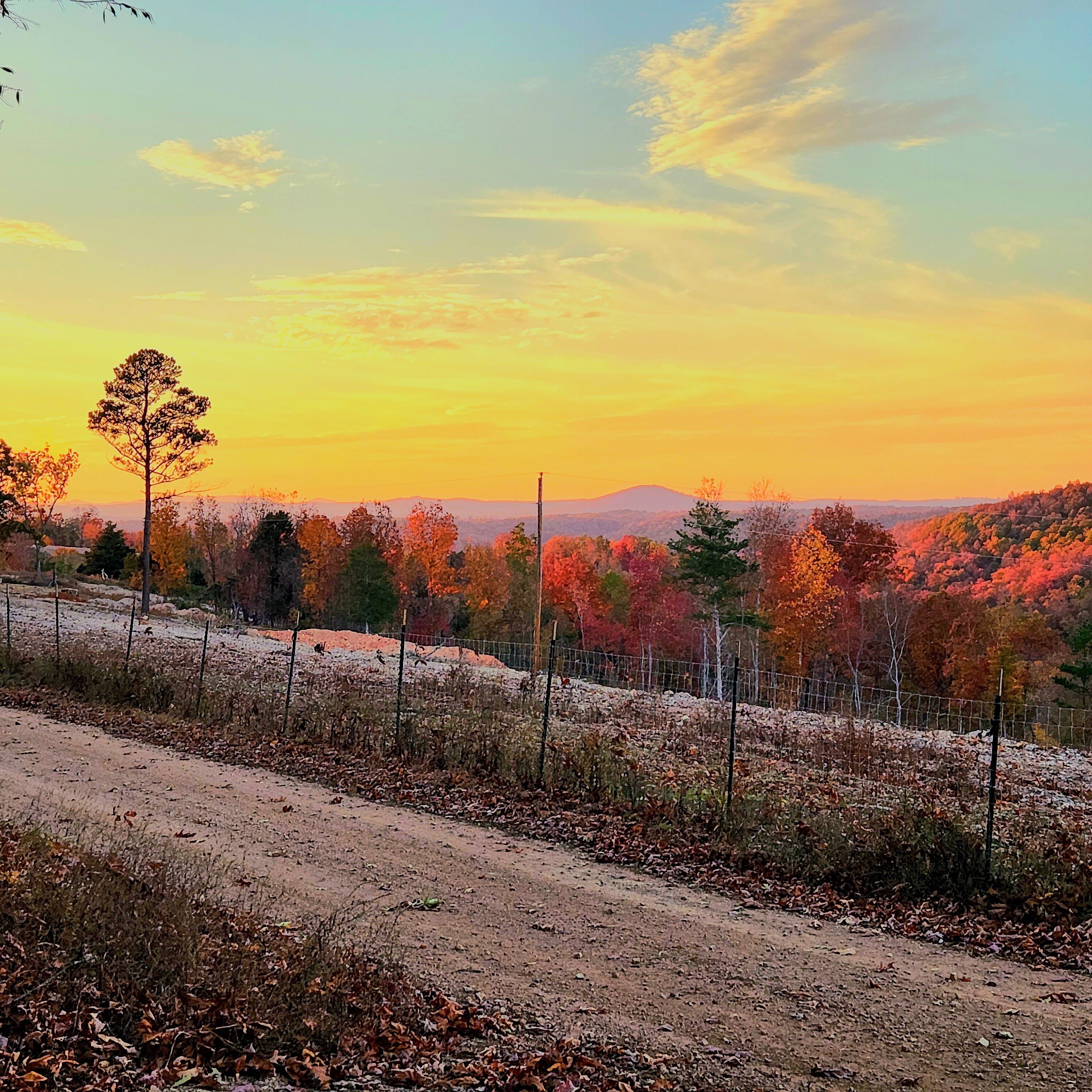 A dirt road with a fence, autumn trees, and a clear sky.