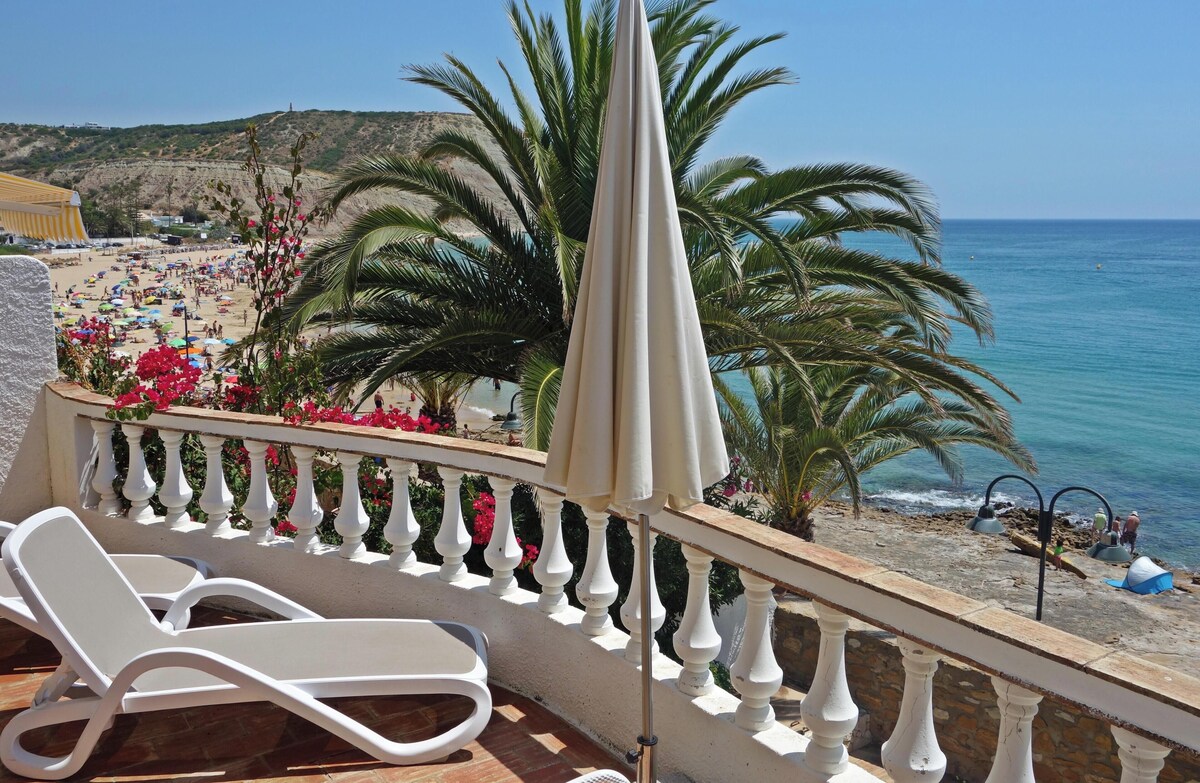 Imagen de perfil del propietario o de la propietaria