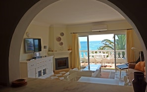 Smart TV, fireplace, books