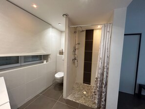 Shower, hair dryer, toilet paper