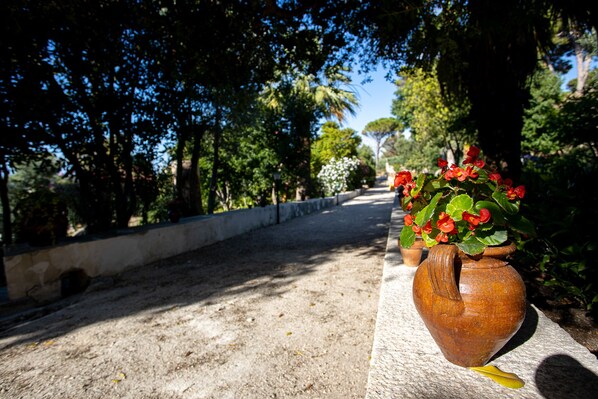 Un sentier bordé d’arbres et un pot de fleurs avec des fleurs rouges.
