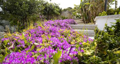 Villa Fontana with private pool and ancient botanical park- Last minute Sept/Oct
