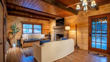 Smart TV, fireplace, books