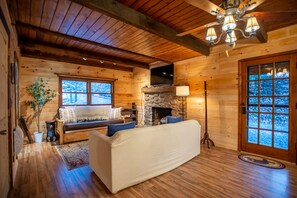 Smart TV, fireplace, books