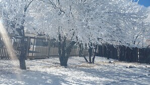A snow-covered landscape with trees and a wooden fence. - Small Town Foothills Property with Yard (Rye)