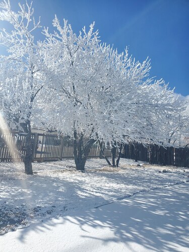 Small Town Foothills Property with Yard