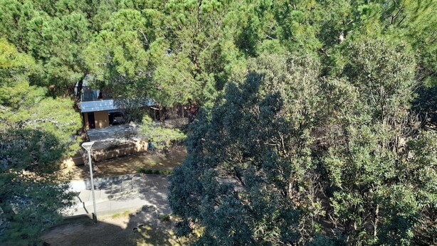 A landscaped area with a paved walkway, a small building, and dense greenery. - Comfortable apartment just minutes from the city (Su Planu)