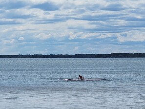 Miscellaneous - Sunset Beach Cottage on Lake Michigan with 240 feet of private sandy beach! (Garden)