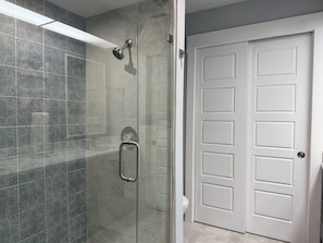 A bathroom with a shower, a toilet, and a white door.