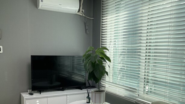 Un salon moderne avec un téléviseur à écran plat, un canapé blanc, une table basse ronde et une plante en pot.