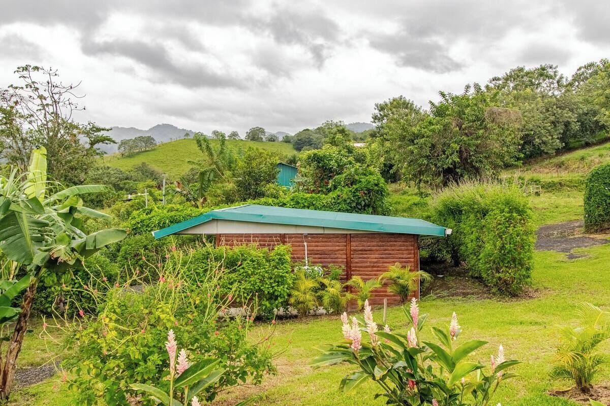 Una pequeña cabaña de madera con techo verde rodeada de abundante vegetación y colinas al fondo.