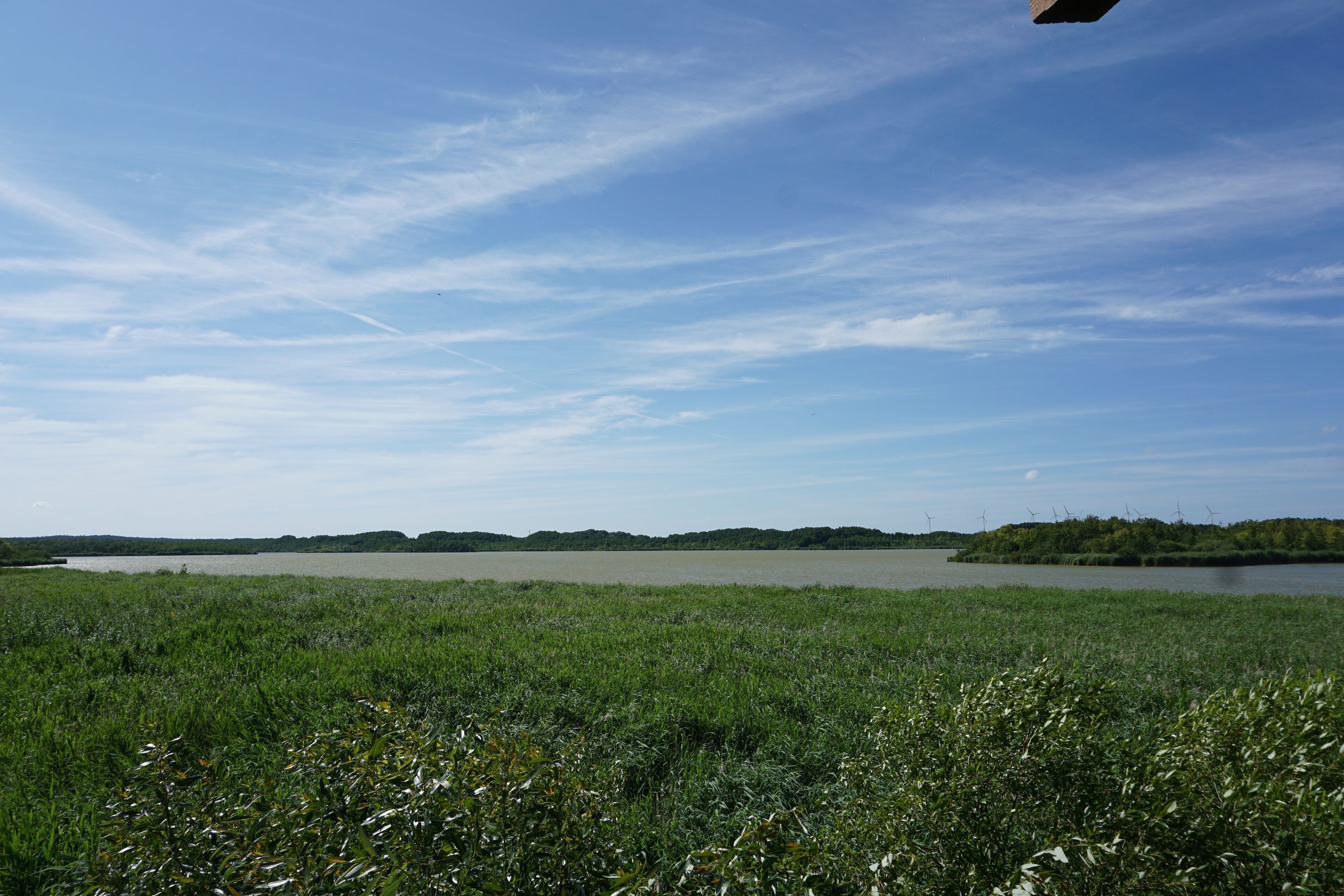 A grassy field with a body of water and distant hills.