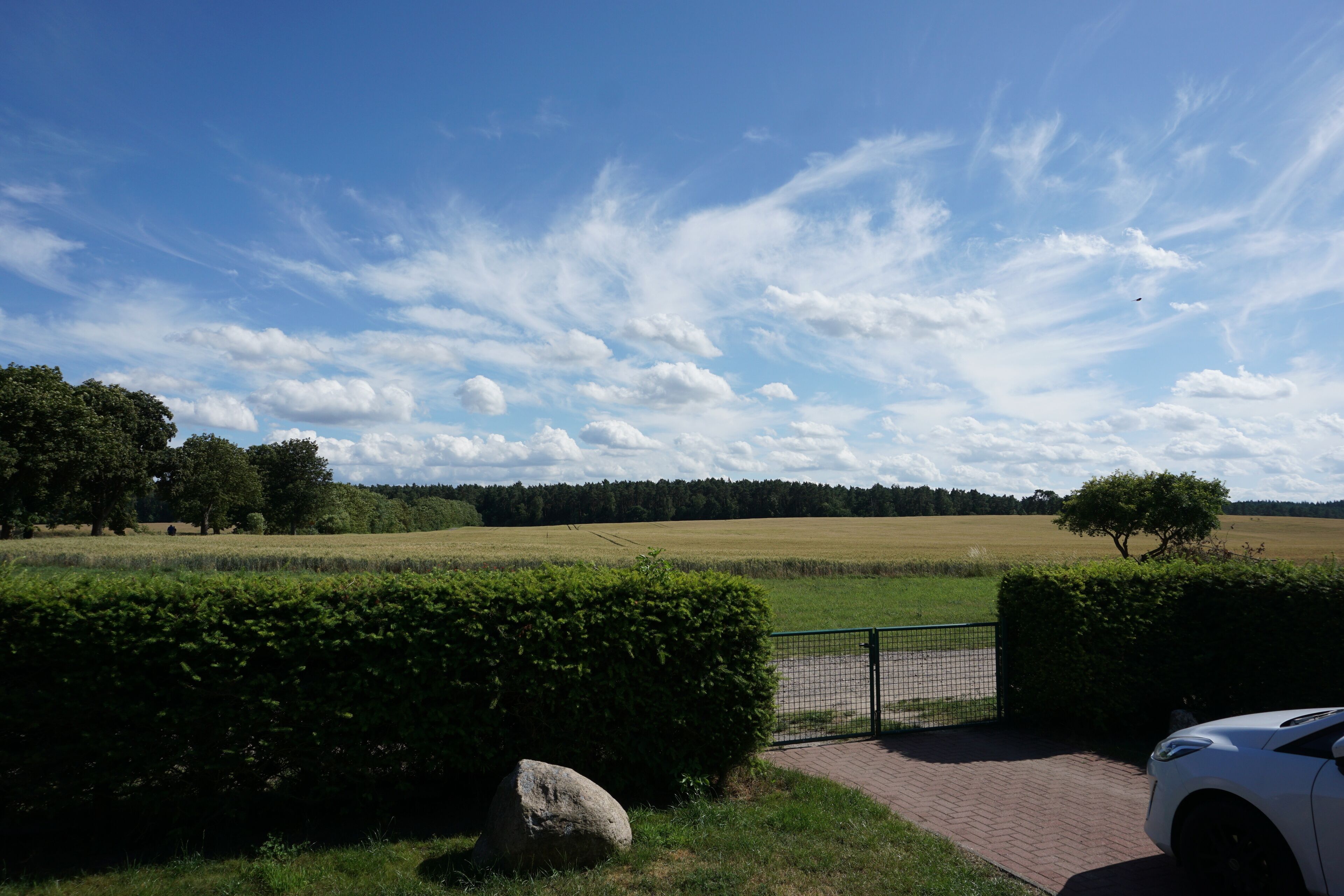 A rural landscape with a paved path leading to a gated area, surrounded by greenery and a clear sky.