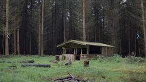 A rustic cabin in a forest with a wooden deck and a simple roof structure. - Vacation home in a quiet location, 200m from the nature reserve lake, Mönchshof 13a, with WLAN (Eldetal)