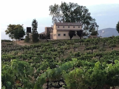 Temecula Wine Country Home on 5 Acre Vineyard