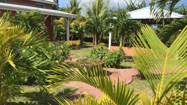 Un rigoglioso giardino con palme, un vialetto e un edificio con tetto rosso.