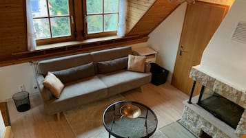 Una televisión, una chimenea, libros