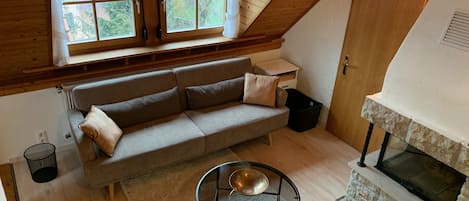 Télévision, cheminée, livres