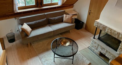 Romantic vacation apartment with fireplace in the Thuringian Forest. Quiet location!