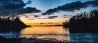 Steps from the Beach! ~ Near Wild Pacific Trail! ⎮ Orca