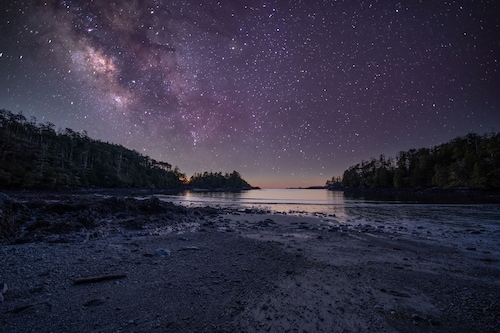 Steps from the Beach! ~ Near Wild Pacific Trail! ⎮ Orca