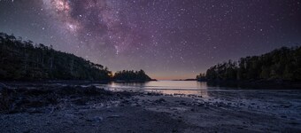 Steps from the Beach! ~ Near Wild Pacific Trail! ⎮ Orca