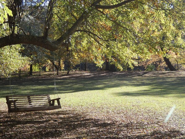 A park with a wooden bench under a large tree.
