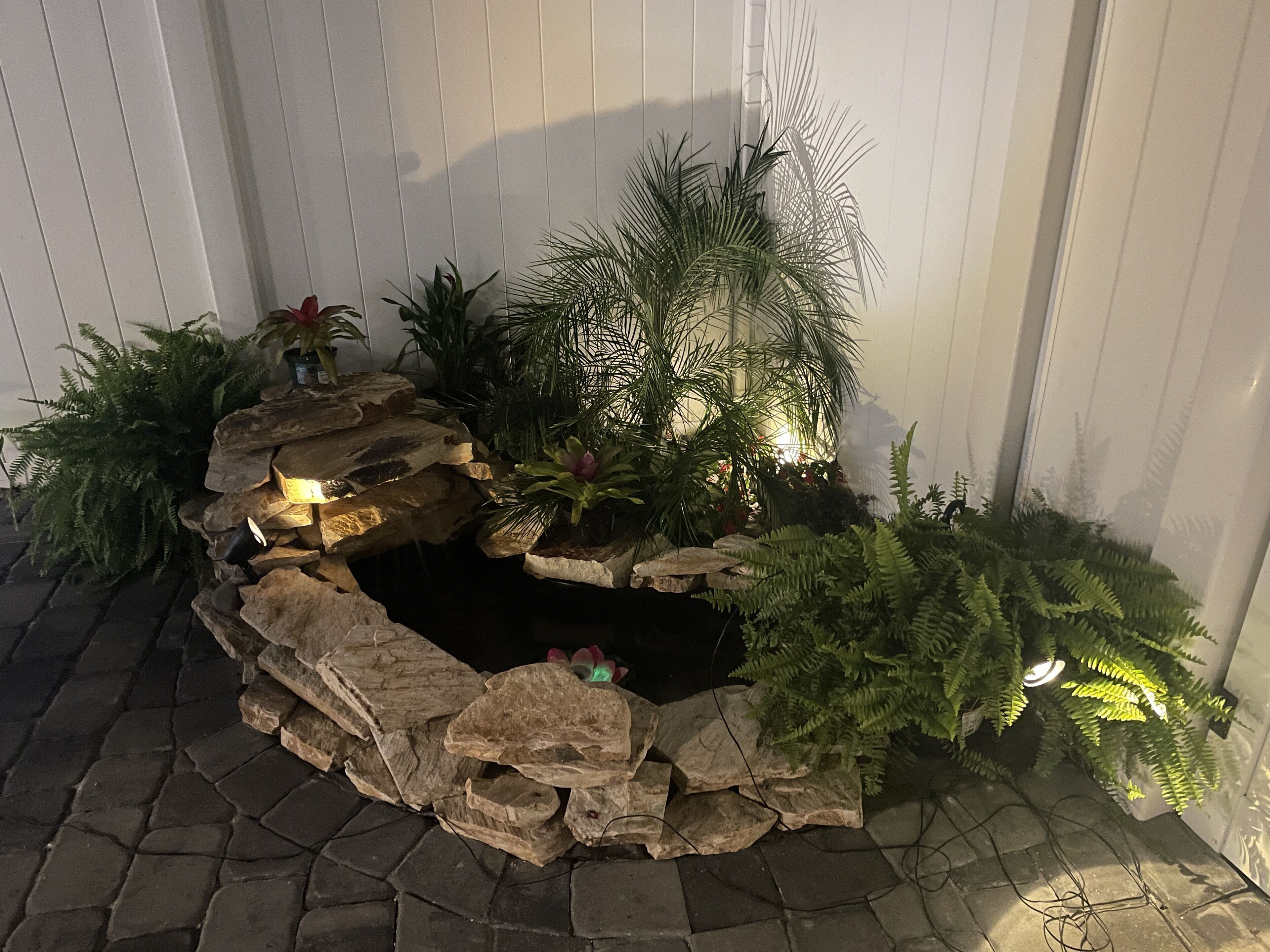 Un jardin de rocaille avec un petit étang, entouré de différentes plantes et de rochers.