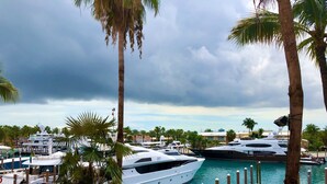 Un port de plaisance où sont amarrés plusieurs yachts, entouré de palmiers et surplombé d’un ciel dégagé.