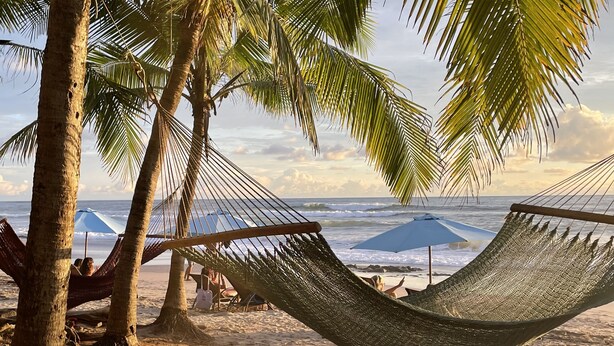 A hammock tied between palm trees on a sandy beach with a view of the ocean and a clear sky. - Modern Beach Home with Pool & Rooftop - 150 metros (Santa Cruz, Playa Avellanas)